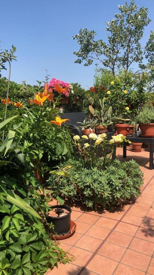 Il Giardino Sui Tetti Apartment Болоня Екстериор снимка